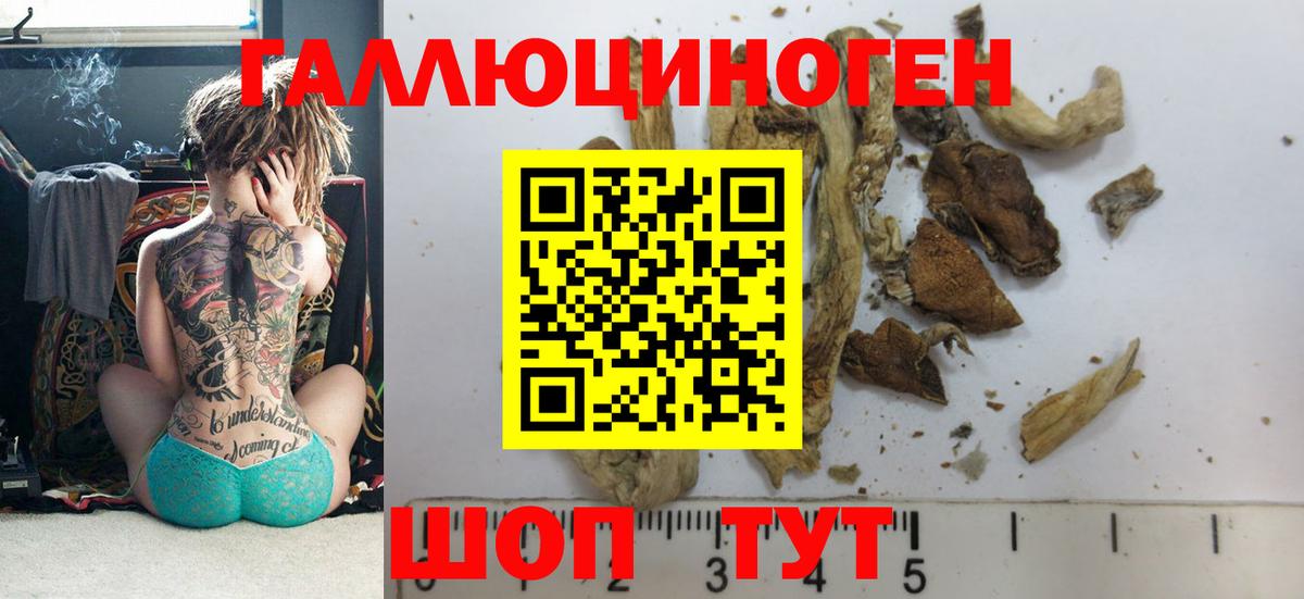 Галлюциногенные грибы MAGIC MUSHROOMS  Вход с VPN  Железноводск 